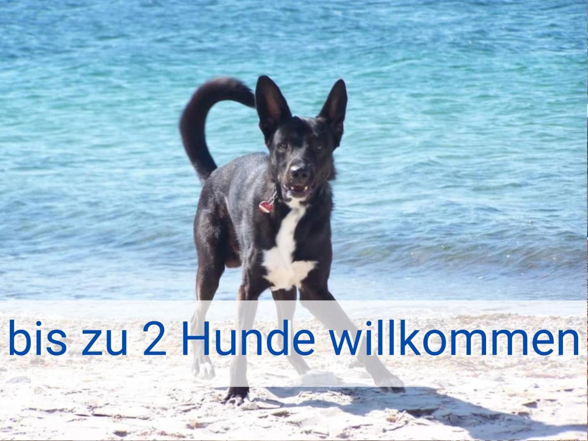 Boeltser Hus Ferienwohnungen Mit Strandkorb Und Kamin 10 Gehminuten Zum Kurtaxefreien Sandstrand Kraksdorf Экстерьер фото