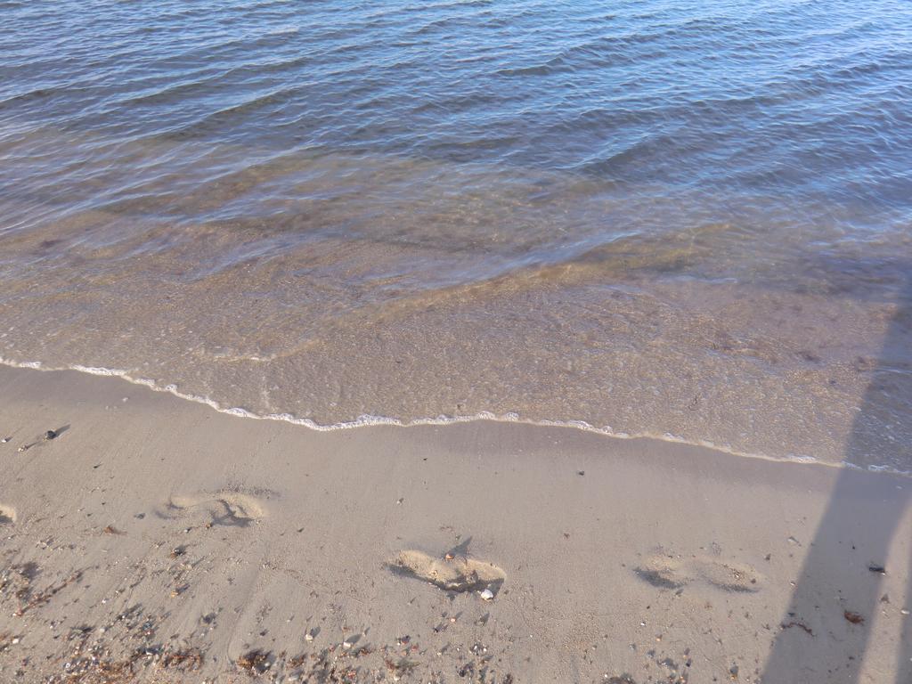 Boeltser Hus Ferienwohnungen Mit Strandkorb Und Kamin 10 Gehminuten Zum Kurtaxefreien Sandstrand Kraksdorf Экстерьер фото
